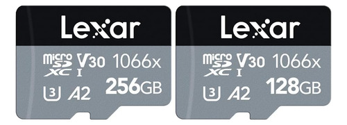 Professional Tarjeta Microsdxc Uhs I 1066 X 256 Gb Y Tarjeta