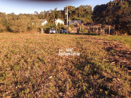 Imagem 9 de 16 de Chácara À Venda, 20000 M² Por R$ 450.000,00 - Areia Branca Dos Assis - Mandirituba/pr - Ch0012