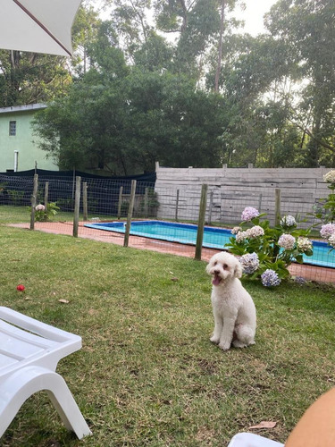 Imagen 12 de 14 de Weekend Disponible - Piscina - Solanas , Punta Del Este