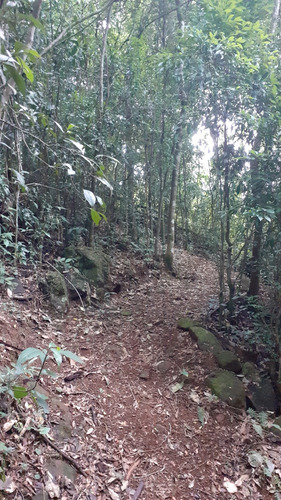 Casa Y Hospedaje Con Arroyo En Saltos Del Moconá