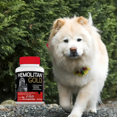 Kit 4 Hemolitan Gold Suplemento Vitaminico 30 Comprimidos