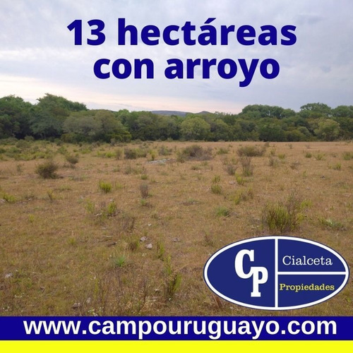 Campo De 13 Hectáreas Con Arroyo