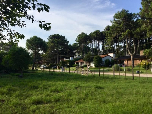 Imagen 13 de 14 de En Venta Dos Lotes A 200 Metros Del Mar En Pinamar.