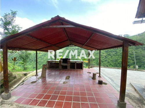 En Venta Finca Productiva, Con Casa, Galpones Y Cultivo De Café