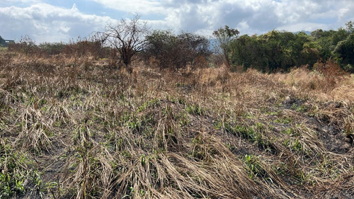 Lote De Terreno - El Marques, Guatire