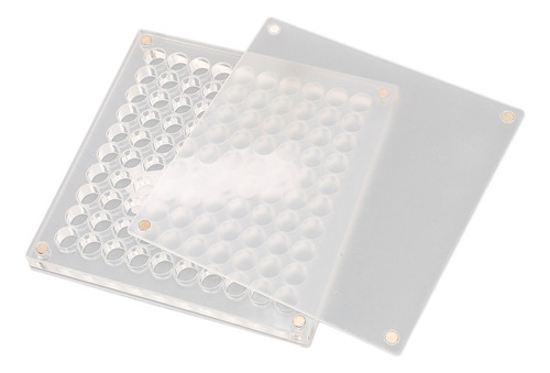 Organizador Transparente Acrílico Seashell Display