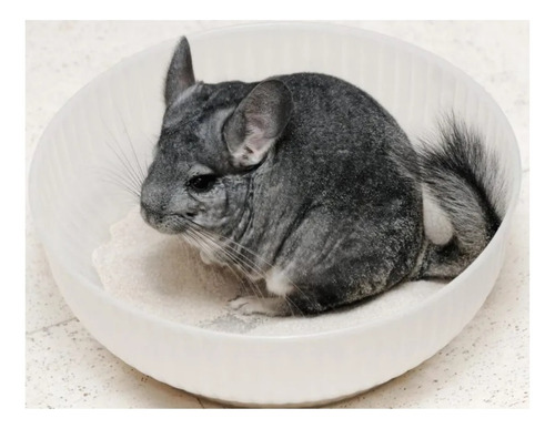Baño Arena Chinchillas Roedores Hamsters Natural 900gr