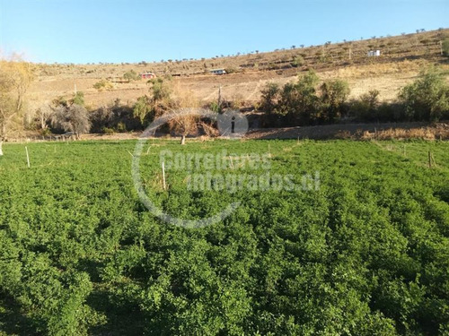 Agrícola En Venta En Combarbalá
