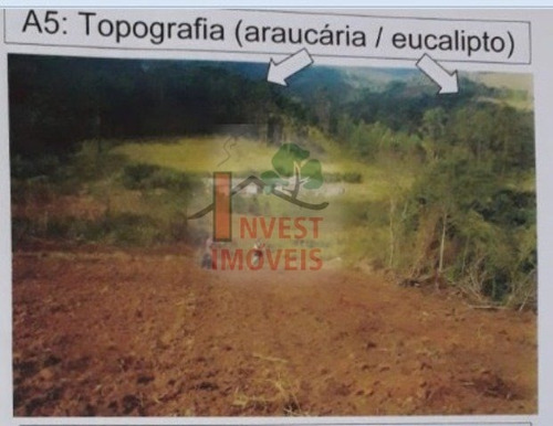 Imagem 2 de 6 de Area - Ref: 3457 - V-3457