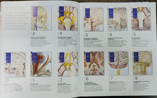 Imagen 4 de 10 de El Cuerpo Humano En Accion * 28 Tomos * Completo * Dk *