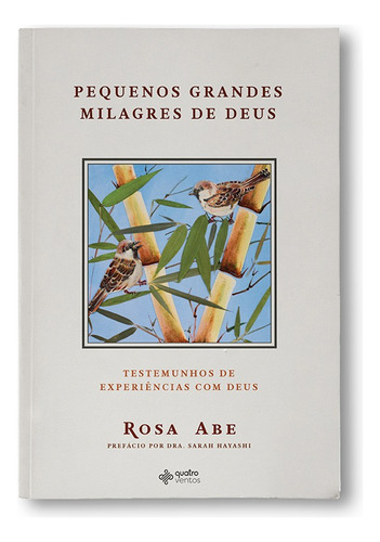 Pequenos Grandes Milagres de Deus, de Abe, Rosa. Editora Quatro Ventos Ltda, capa mole em português, 2020