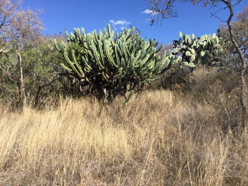 Terreno En Venta En San Sebastián De Las Barrancas San Juan Del Río Querétaro