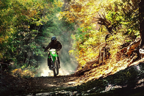 Imagen 6 de 10 de Moto Kawasaki Klx 300