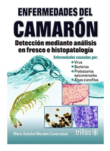 Enfermedades Del Camarón Detección Mediante Análisis Trillas