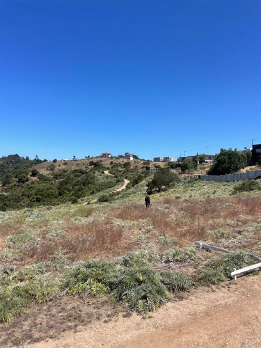 Sitio En Venta En Quintero