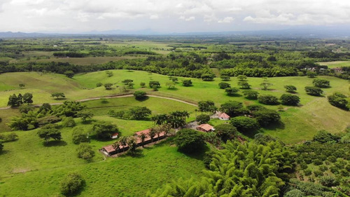 Lotes Y Fincas En Venta Condominio Cerrado Montenegro Quindio 