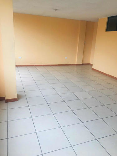 Imagen 8 de 19 de Arriendo Departamento Grande En Nueva Aurora Sector Sur