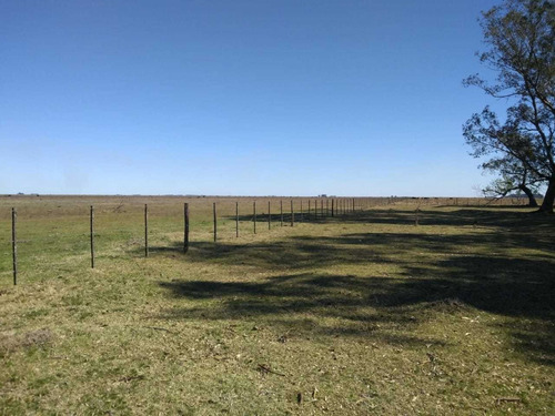 Vendo Campo De 226 Ha