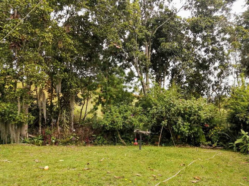 Imagen 21 de 29 de Finca Para La Venta En Guarne Vereda El Sango 620 M²