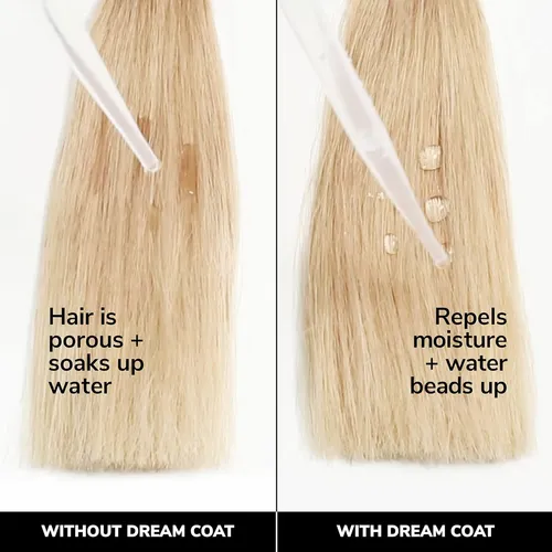 Color Wow Antifrizz Original