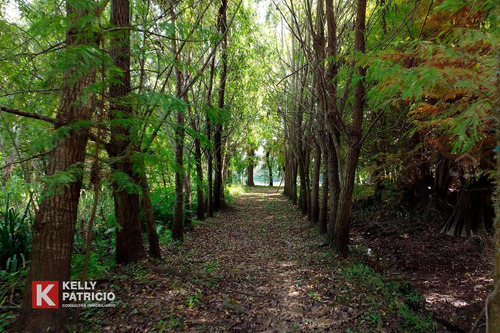 Venta De Fracción Con Costa Sobre Rio Paranacito