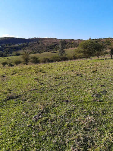 Excelente 2 Sitios 5.000 M2 C/u, Los Laureles/ Limachi