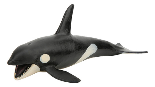 Modelo Animal: Simulação Em Forma De Baleia Assassina, Vida
