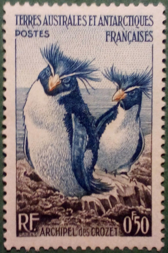 Imagen 2 de 7 de Antártida Francesa. Serie: Pingüinos Y Focas. Año 1956.