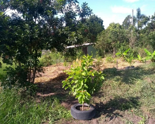 Imagem 15 de 18 de Sitio Em Esmeraldas - St00078 - 68311105
