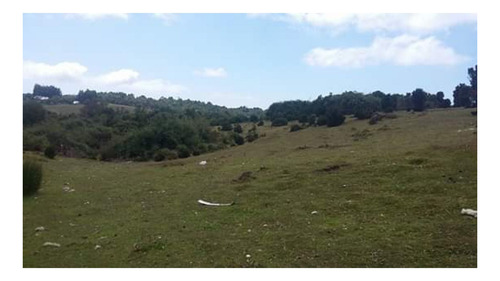 Imagen 6 de 7 de Espectacular Precio Por Terreno De 10 Hectarea En La Hermosa