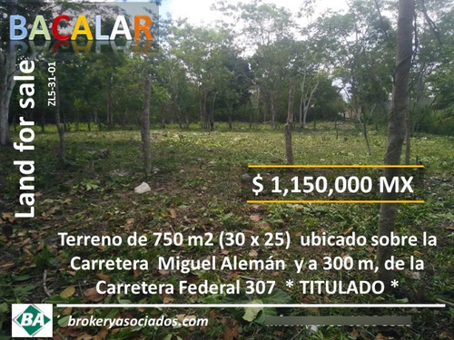 Terreno En Venta En Carretera Miguel Alemán