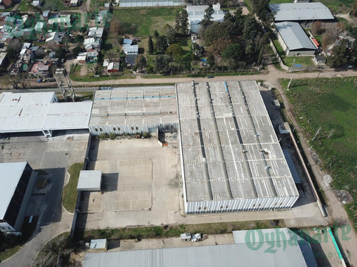 Imagen 5 de 22 de Alquiler De Depósito Industrial Con Gas - Prox Acceso Oeste
