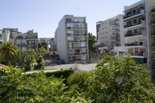 Imagen 6 de 20 de Lindisimo 2 Ambientes - Palermo