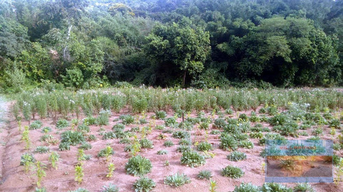 Imagem 21 de 23 de Terreno À Venda - Vila Nova - Porto Alegre/rs - Te0153