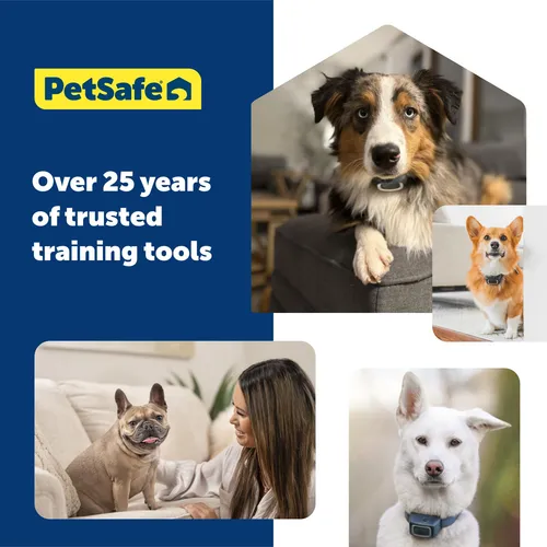 Petsafe - Collar De Entrenamiento Remoto Para Perros To.