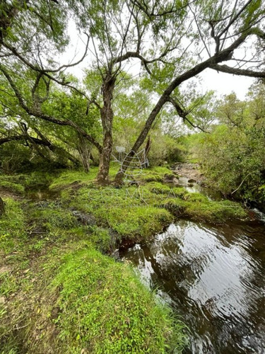 Imagen 10 de 11 de Campo En Carape - Con Hermosa Cañada - Oportunidad !!!!! - Zona Rural