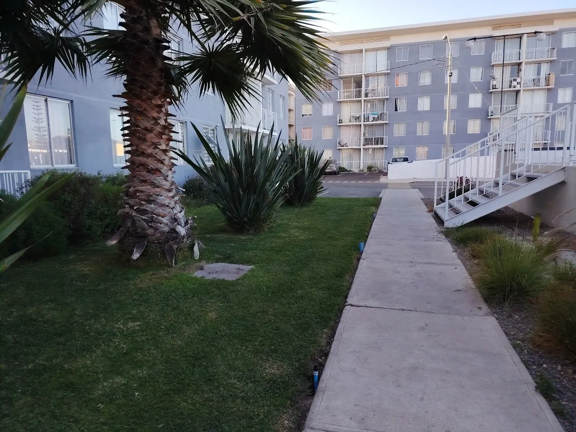 Imagen 1 de 21 de Lindo Departamento Marina La Serena 3d/1b
