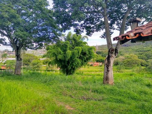 Imagem 6 de 14 de Lindo Sítio À Venda Na Cidade De Itutinga-mg