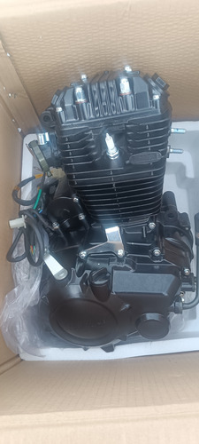 Motor De Moto 250 Z (Usado)