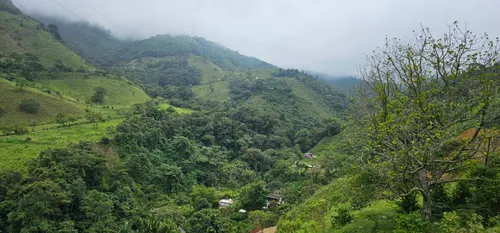Venta De Lote En Santa Bárbara Vereda Pitayó Lote No. 2a