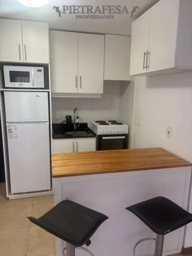 Apartamento En Alquiler, 1 Dormitorio, 1 Baño, Terraza. Punta Carretas. · Foto 2