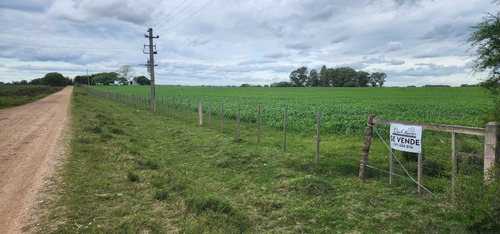 Imagen 29 de 30 de Excelente Campo Con Muy Buenas Mejoras .