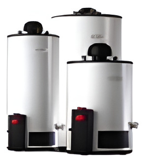 Calentador Automatico 38 L Calorex Boiler G10