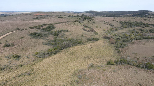 Campo En Rocha 78ha (ref: Atm-6768)