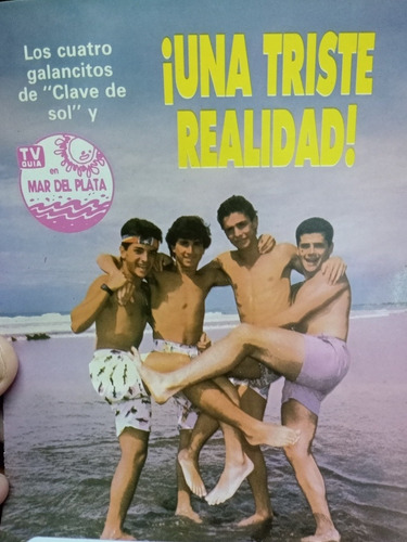 Láminas Centrales De La Revista Tv Guía Del Año 1987 , Argen (Usado)