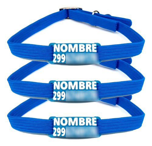 3x Collar Gato Elastico + Plaquita Chapita Tag Nombre Oferta