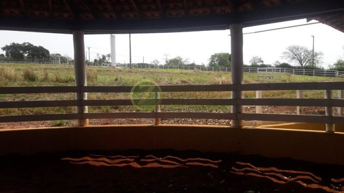Imagem 21 de 30 de Espetacular Haras Em Bauru Ótimo $$$ Aceita Permuta - Ch00153