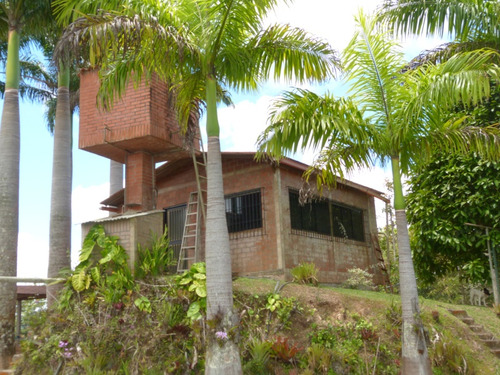 Casa Tipo Finca Urbana