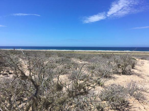 Terreno En  Venta En San Rafael De Los Inocentes Baja California Sur