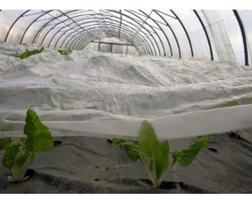 Tela Antihelada 2mts X50 Mts Filtro Uv